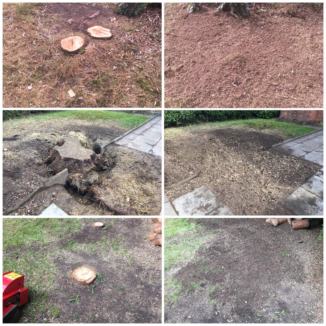Before and after stump grinding by Elms Tree Services