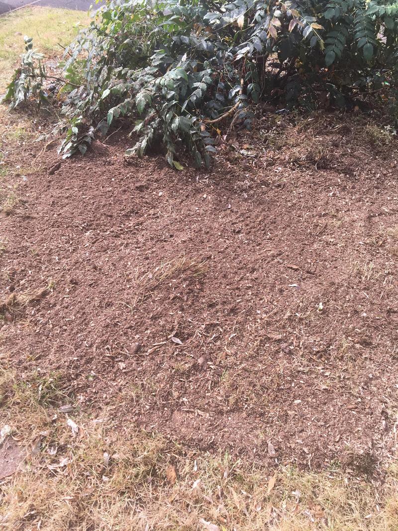 Stump removal from a back garden in Walmley